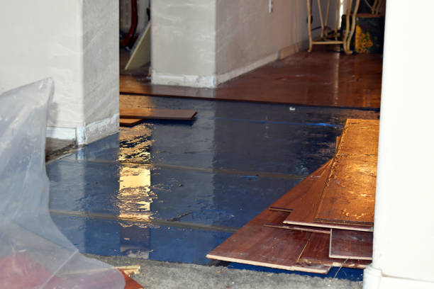 Professional Burst Pipe Cleanup technician working in Lovell, ME